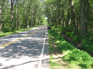 Looking East down Hampton Road, speed limit 40mph ;-)