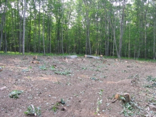 At house site, looking Southeas