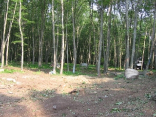 At house site, looking West