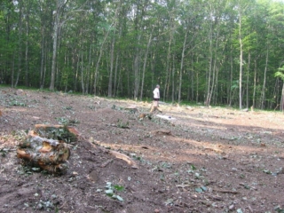 At garage site, looking Southwest