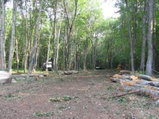 Looking North down driveway at Charlie's truck